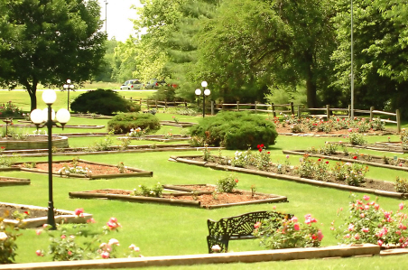 rose Garden